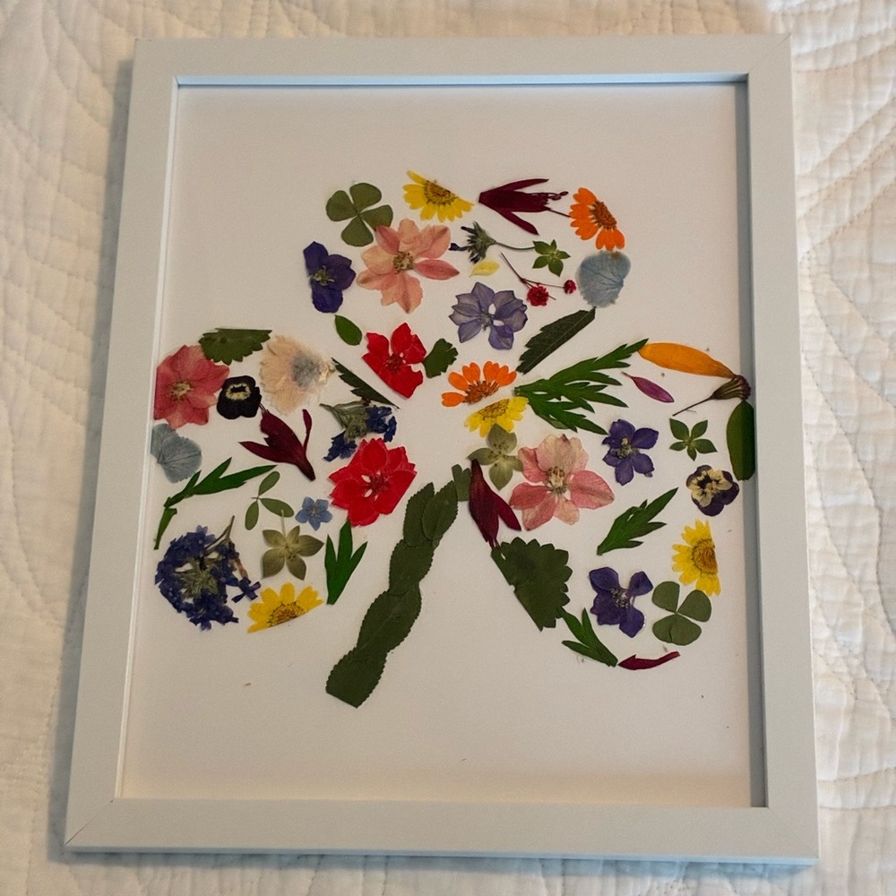 Pressed Flower Clover Leaf